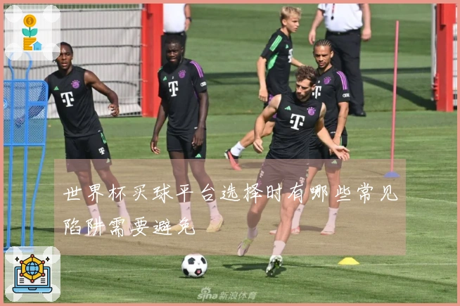 世界杯买球平台选择时有哪些常见陷阱需要避免