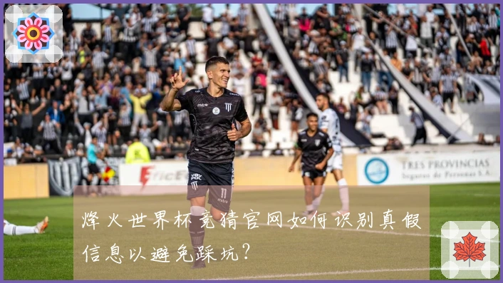 烽火世界杯竞猜官网如何识别真假信息以避免踩坑？