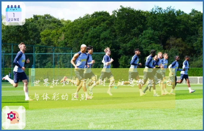 世界杯如何下注时应注意哪些平台与体彩的区别？