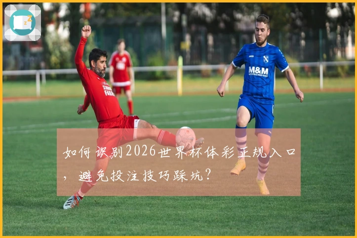 如何识别2026世界杯体彩正规入口，避免投注技巧踩坑？